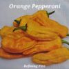 Orange Pepperoncini