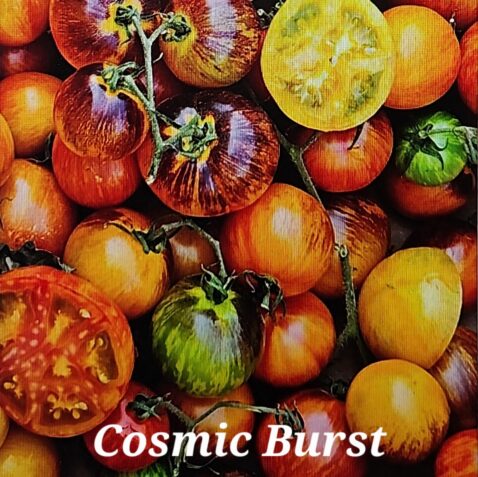 Cosmic Burst