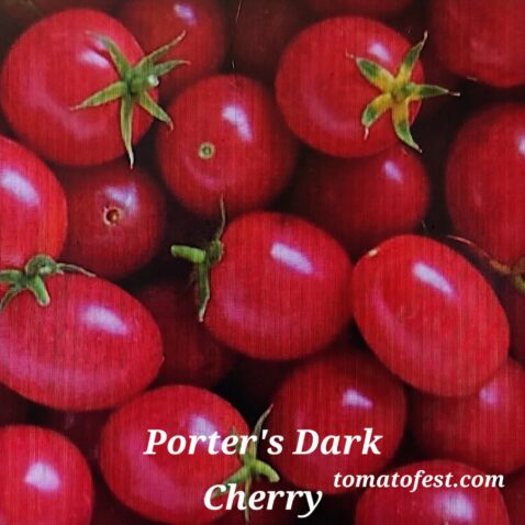 Porter's Dark Cherry