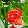 Trinidad Scorpion Butch T