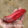 Bridge to Paris