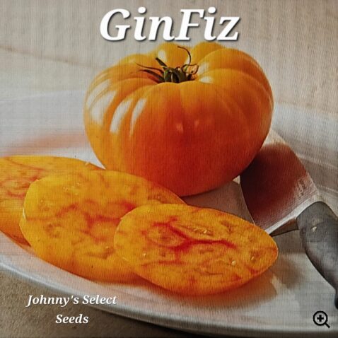 GinFiz