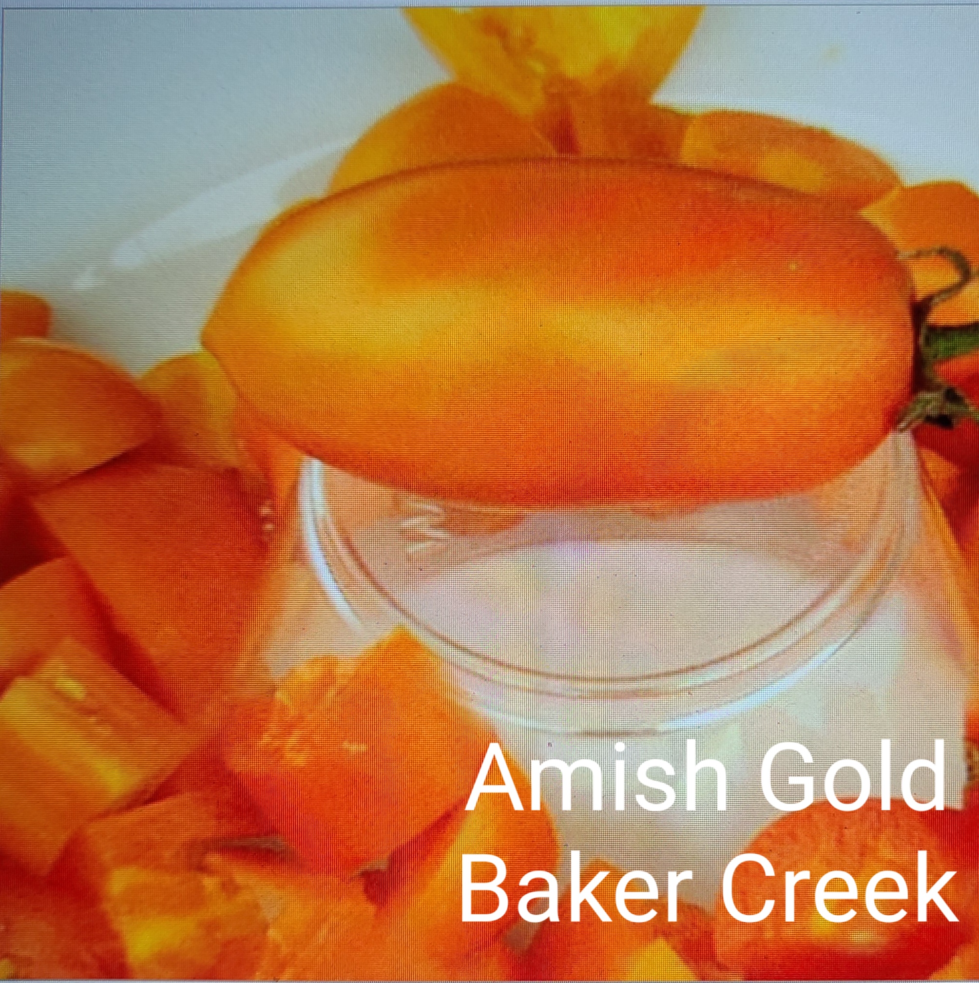 Amish Gold