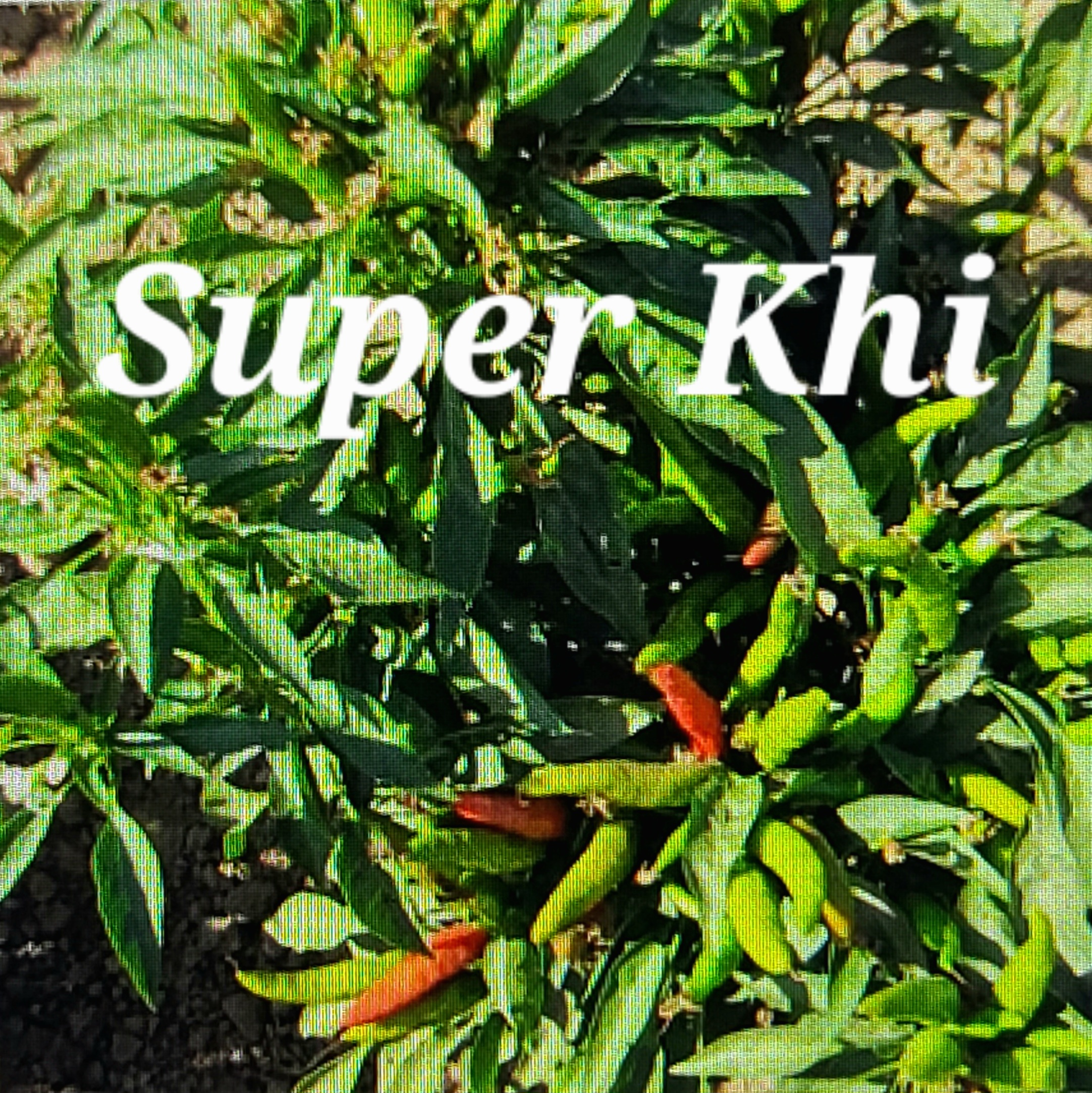 Super Khi ***