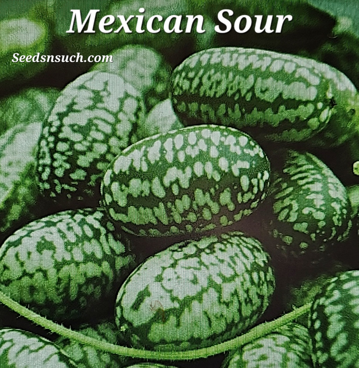 Cuke Mexican Sour