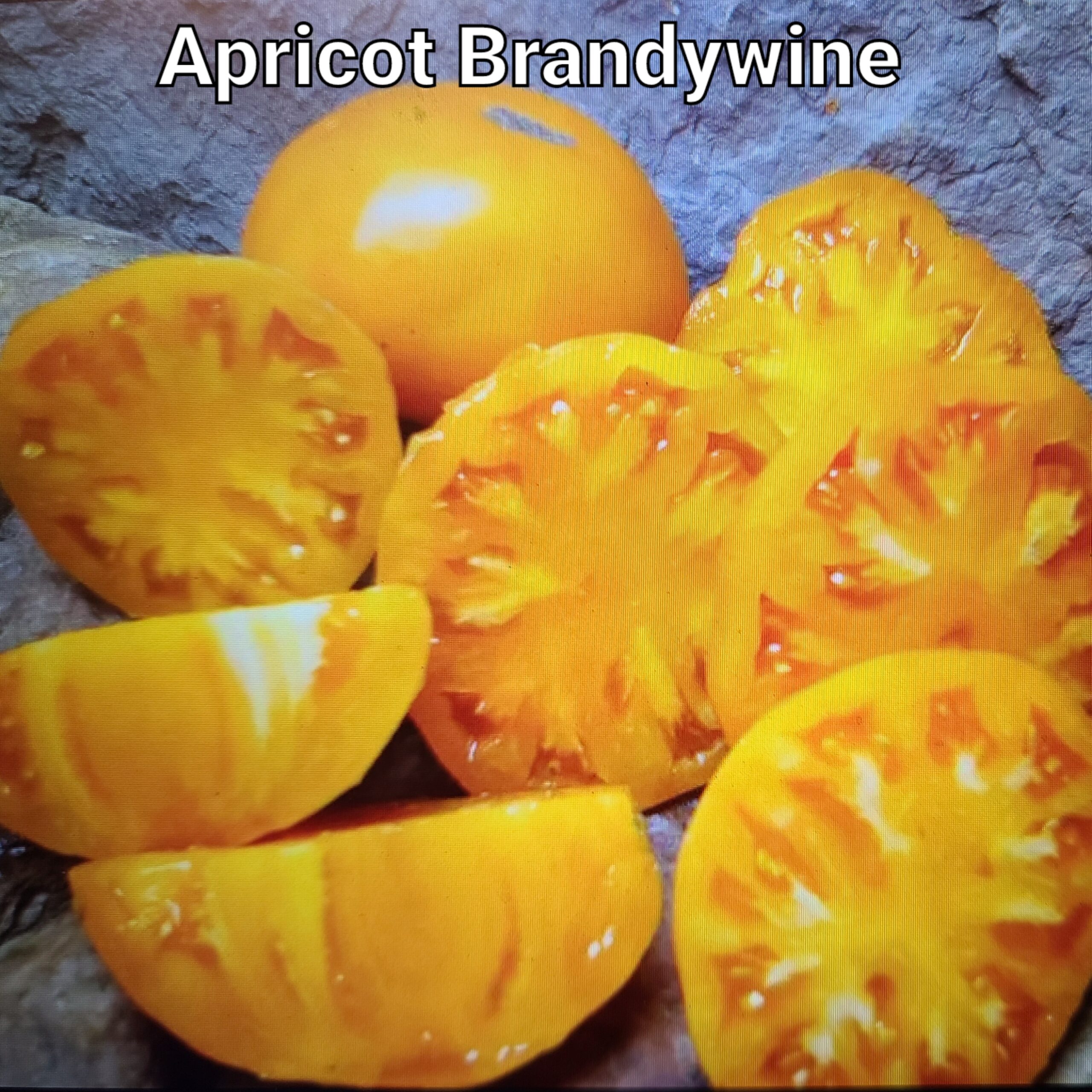 Apricot Brandywine