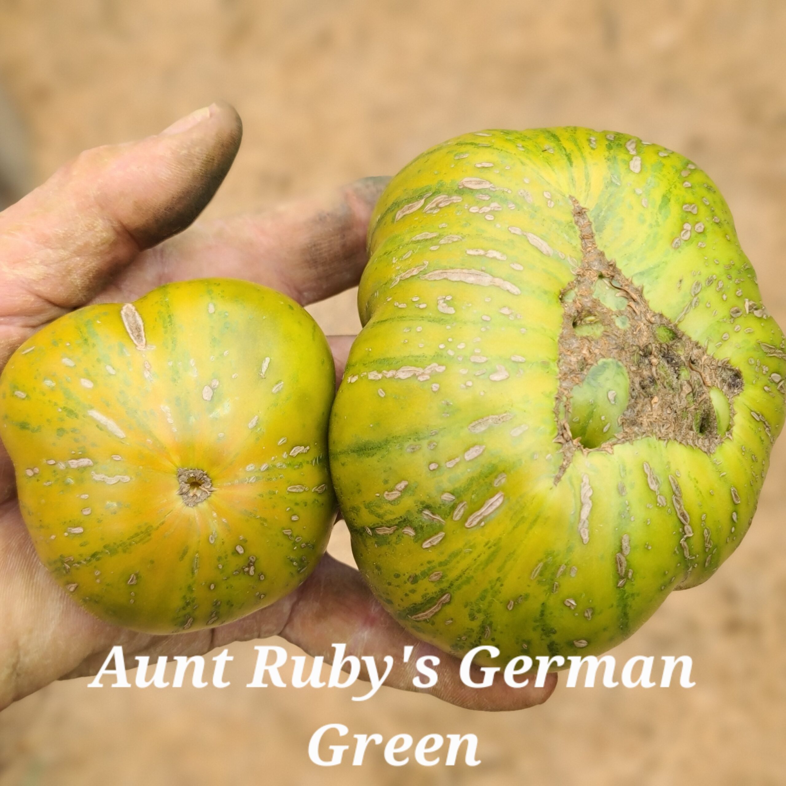 Aunt Ruby's German Green