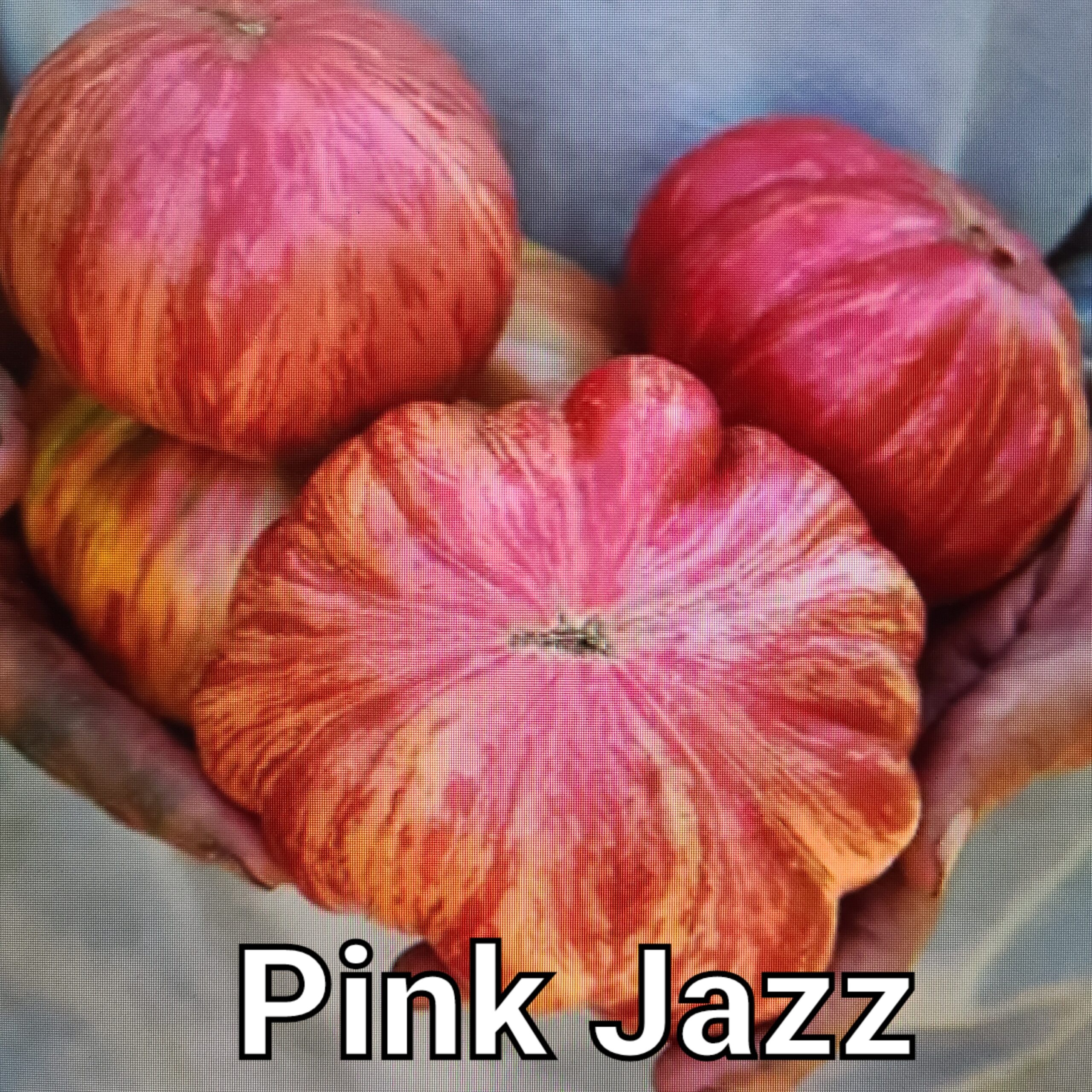 Pink Jazz