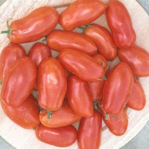 Grandma Mary's Paste