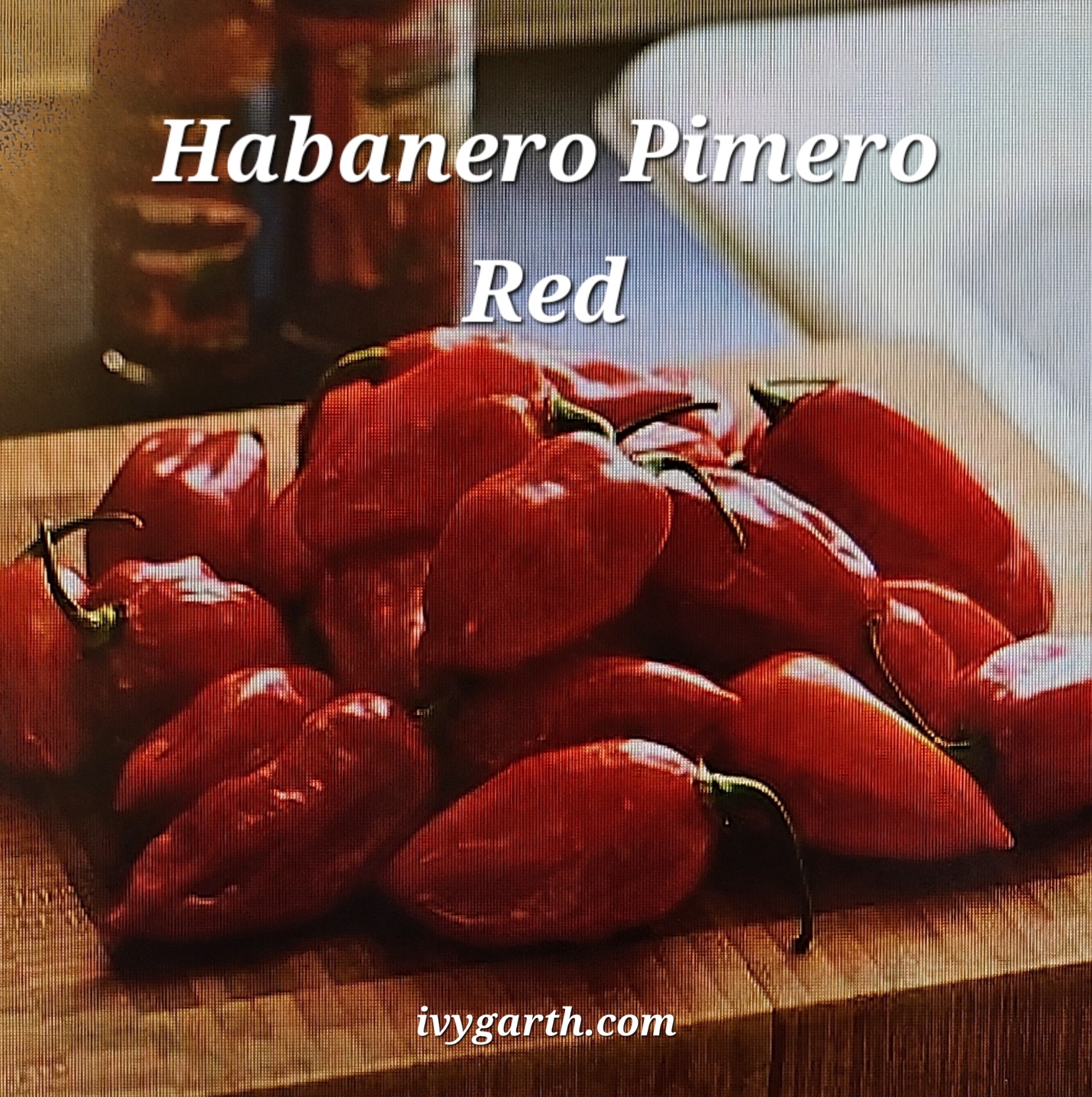 Habanero, Primero Red