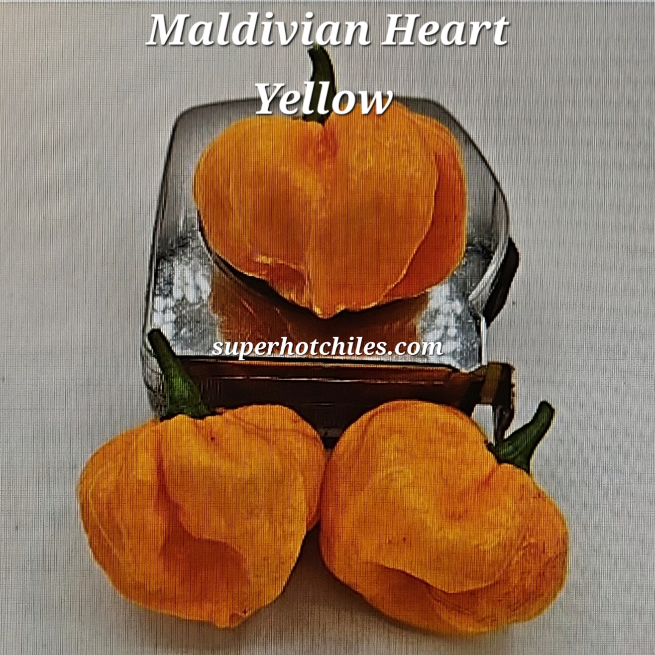 Maldivian Lemon ****