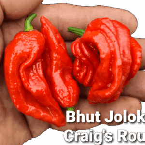 Bhut Jolokia Craig's Rough *****