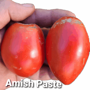 Amish Paste
