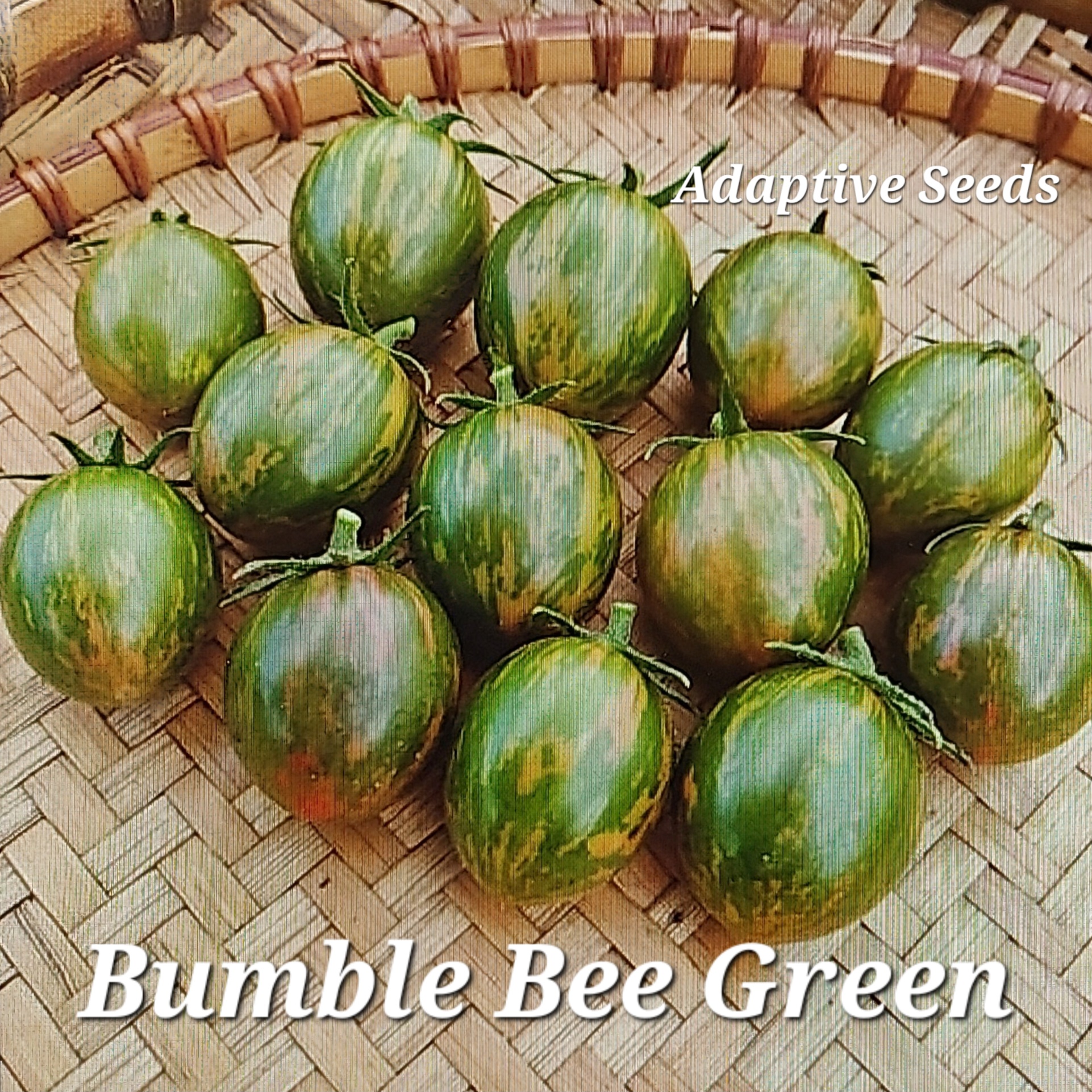 Bumble Bee Green
