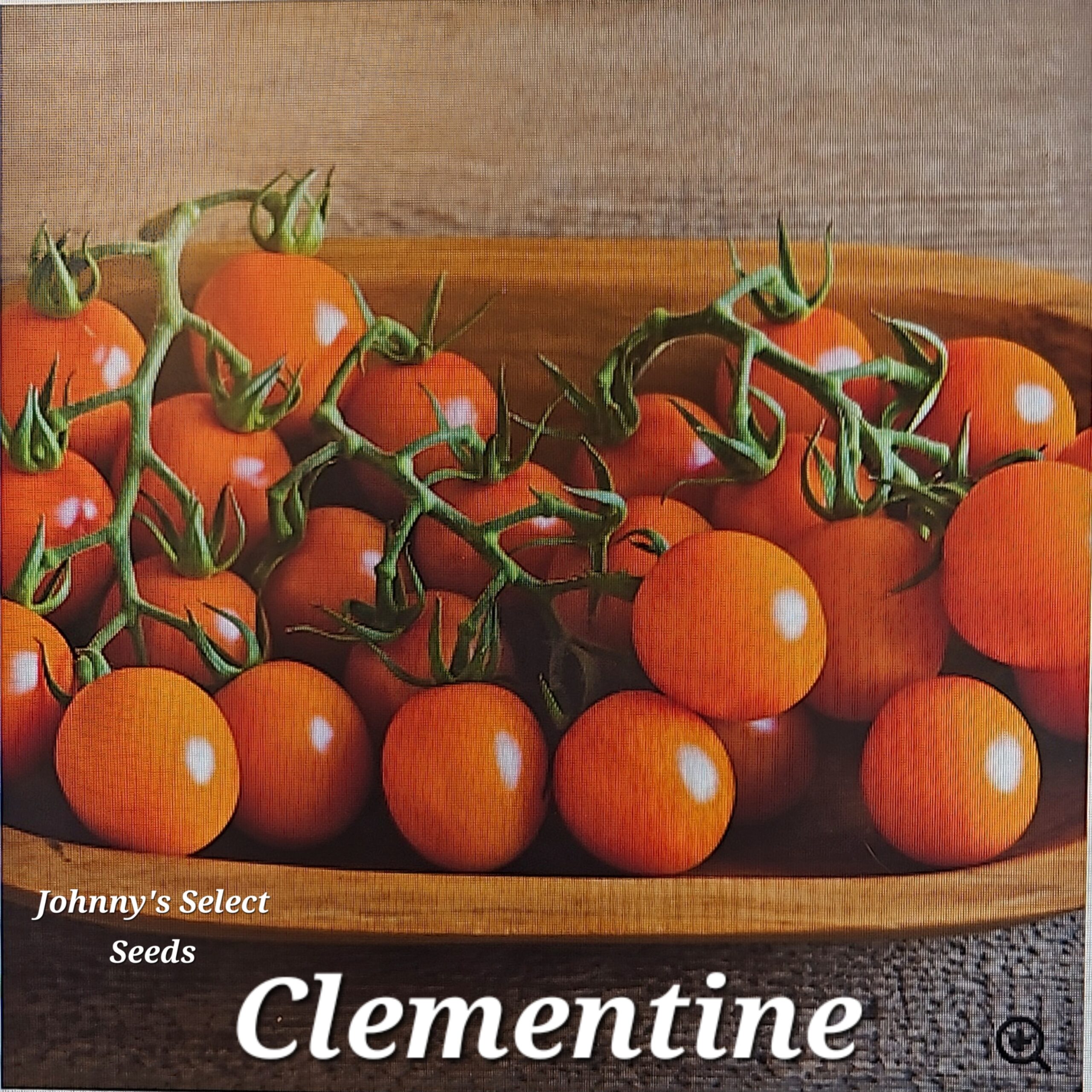 Clementine