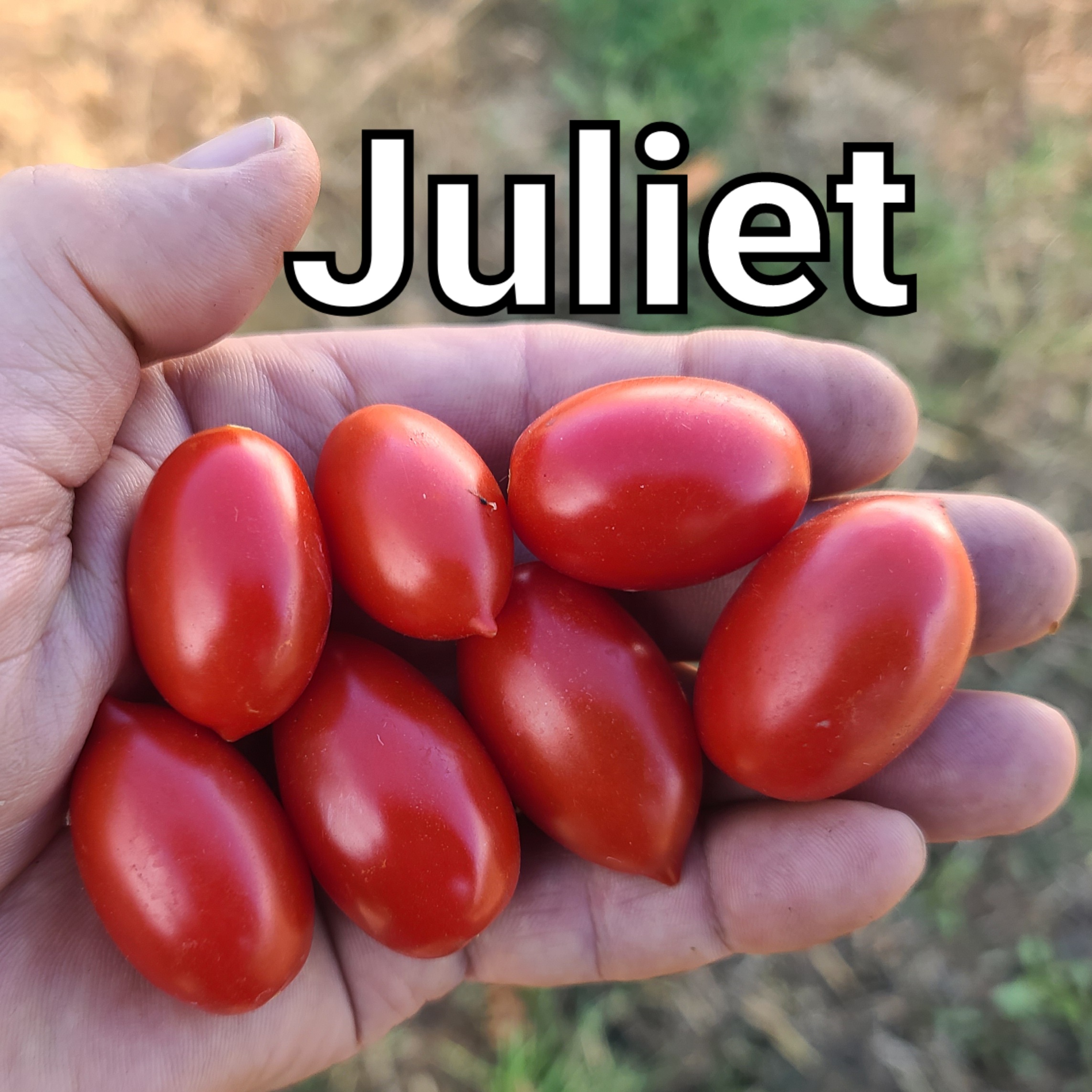 Juliet