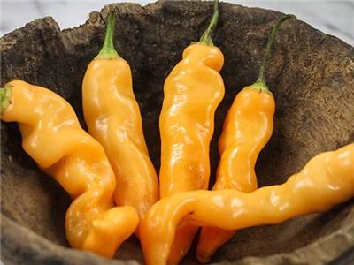 Sugar Rush Peach ***