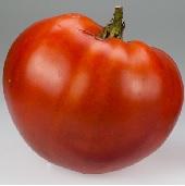 Sunset's Red Horizon