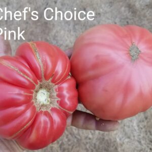 Chef's Choice Pink