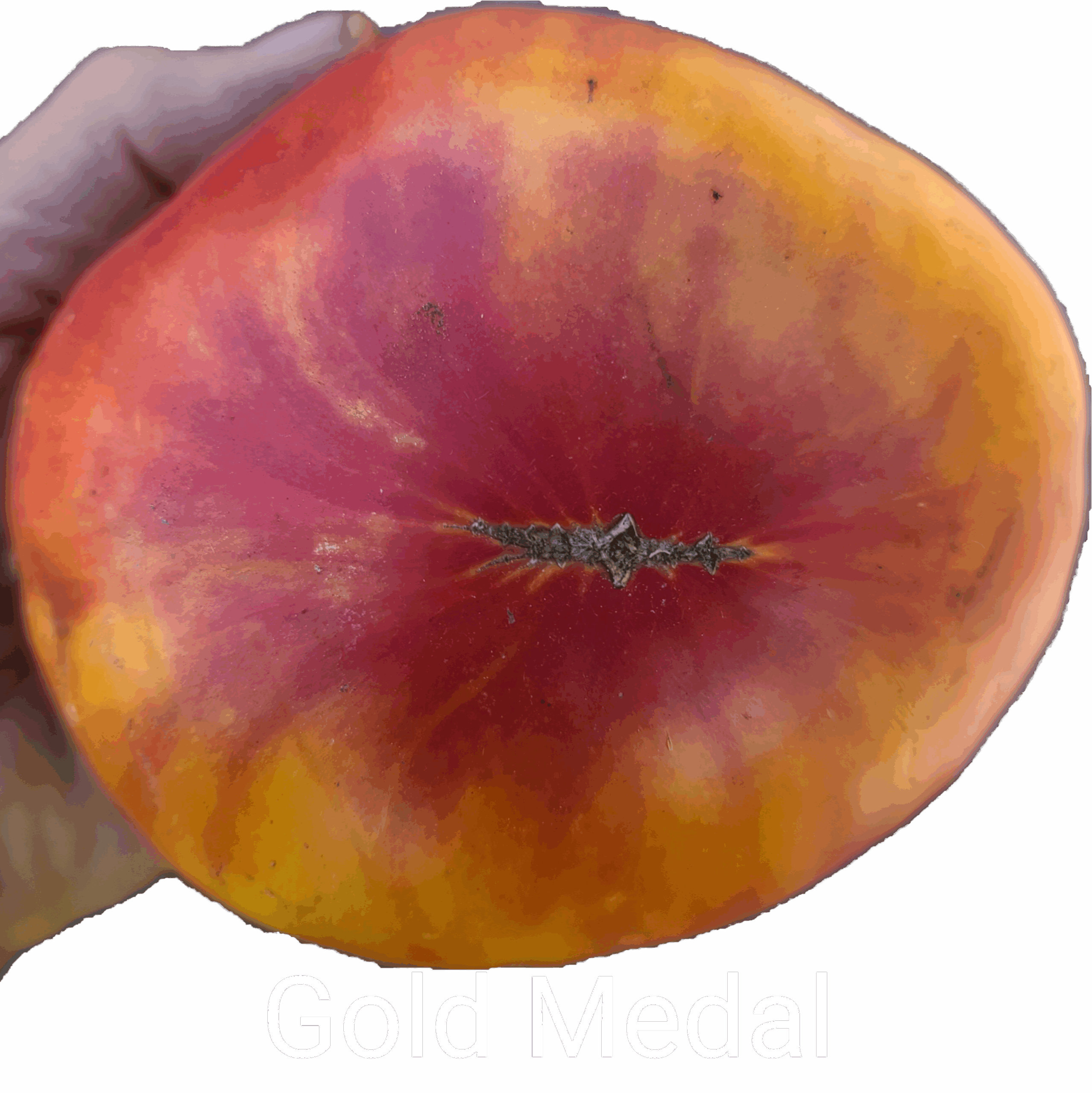 Gold Medal