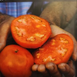 Wood's Famous Brimmer