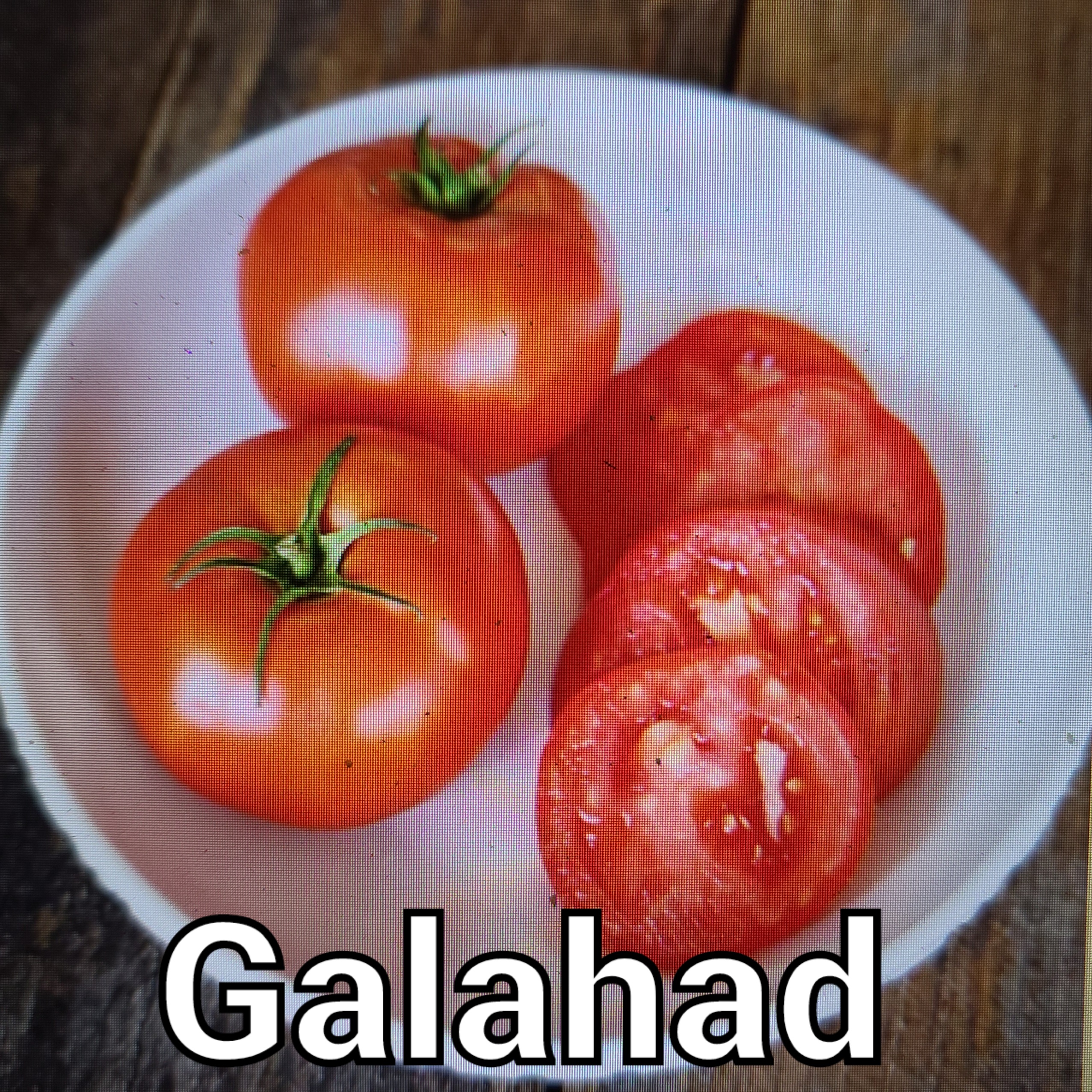 Galahad