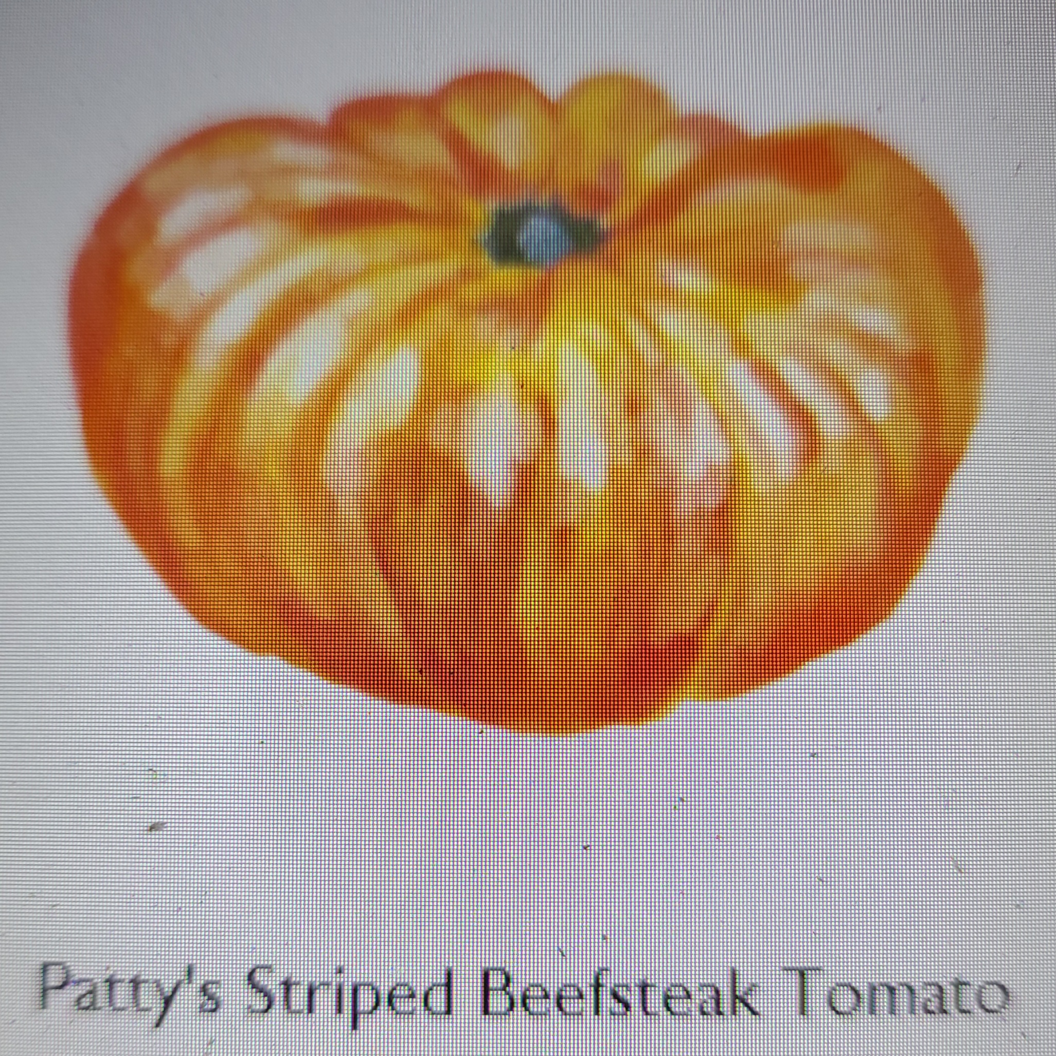 Patty's Striped Beefsteak